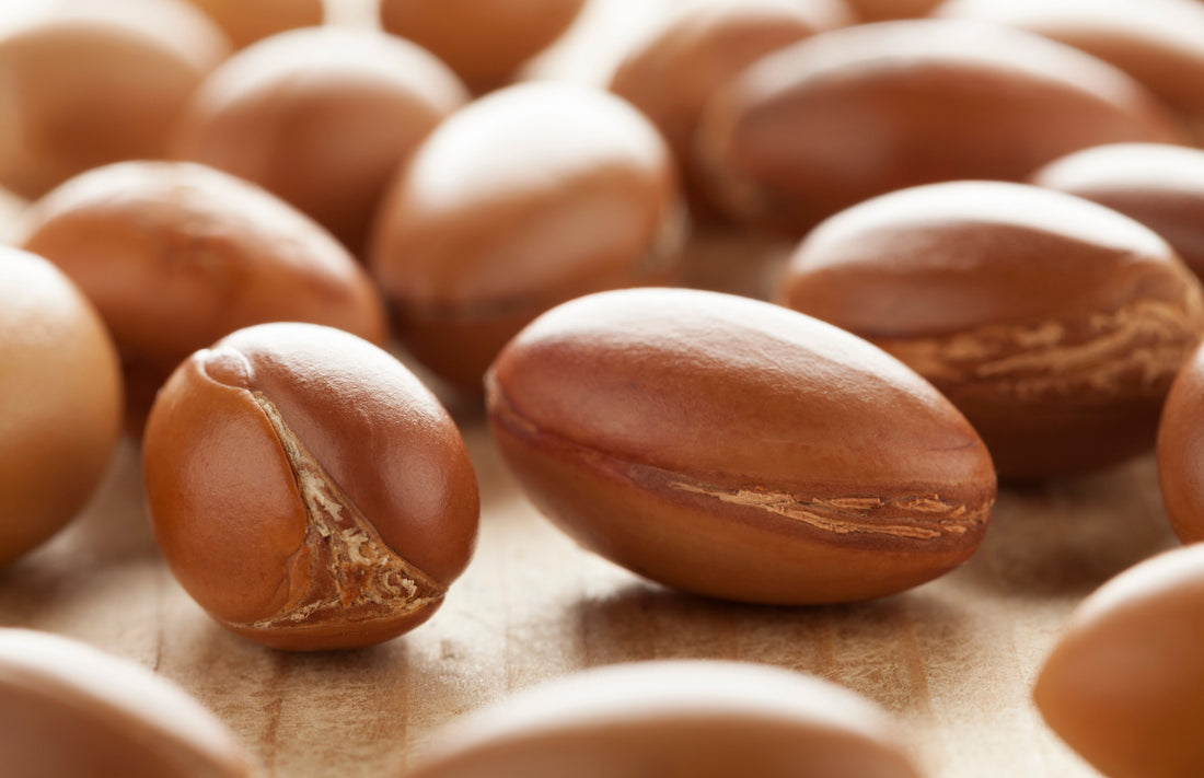 The Power of Antioxidants: How Argan Oil Can Transform Your Skin - ZAYNA