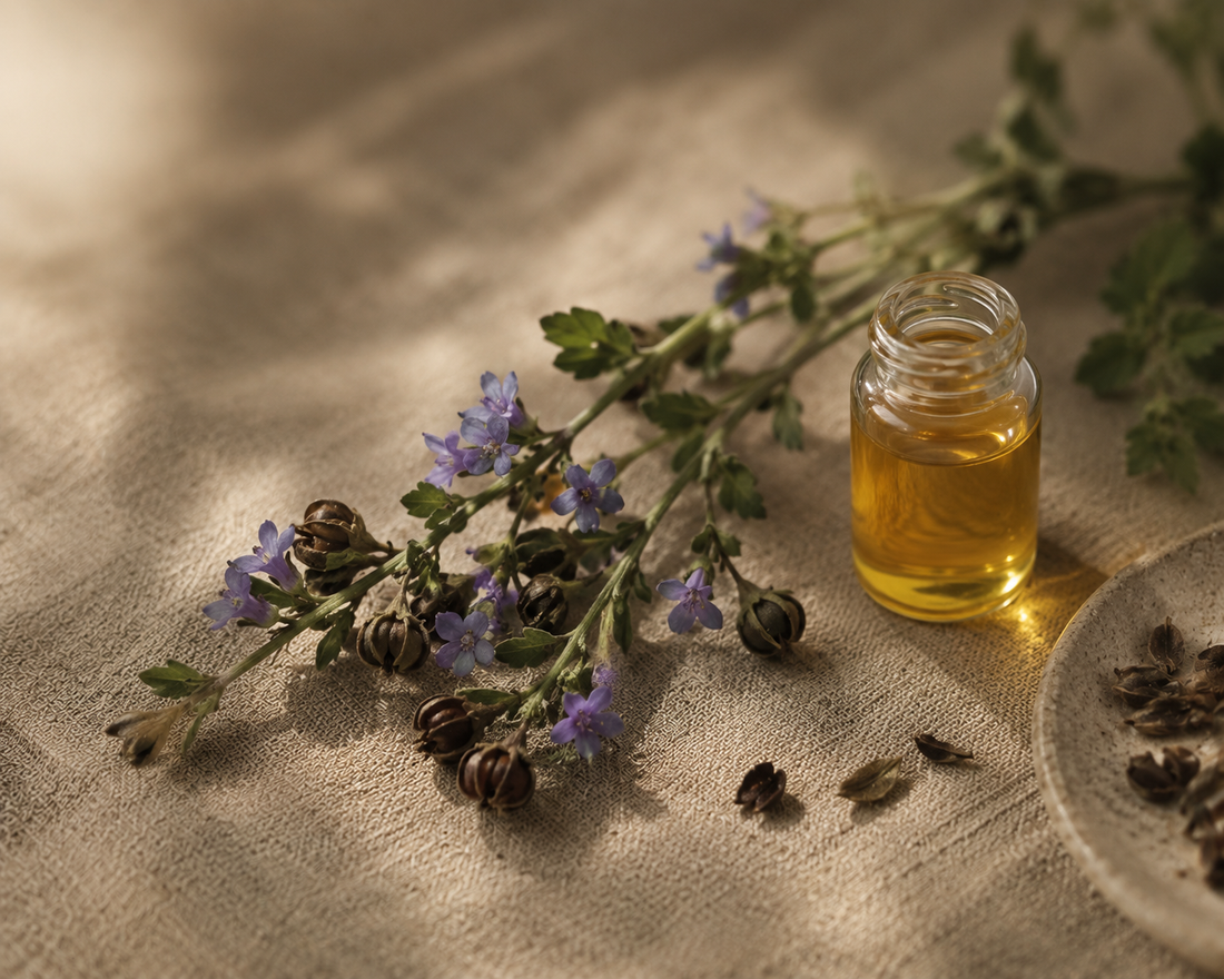 Bakuchiol, Explained: The Plant Behind Skincare's Gentlest Anti-Aging Active